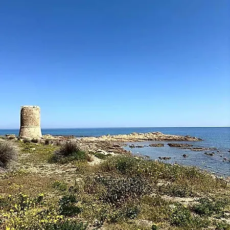 Mare 3*